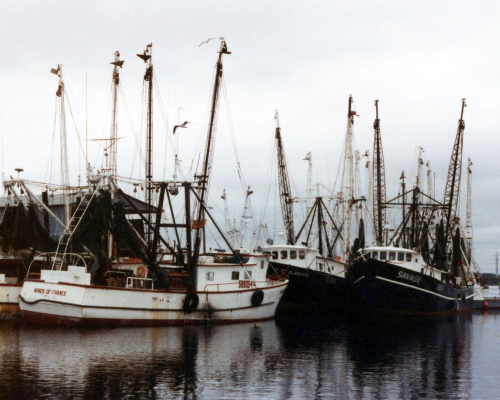 Fishing Boats